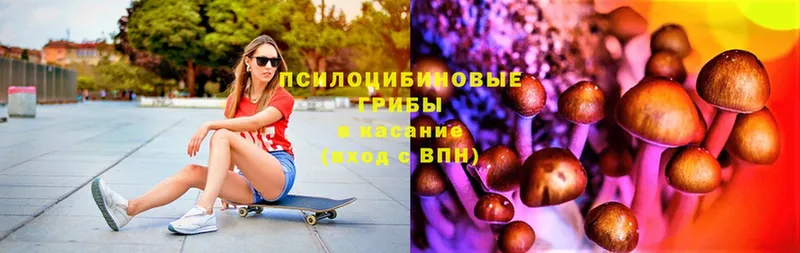 Галлюциногенные грибы MAGIC MUSHROOMS  Обнинск 